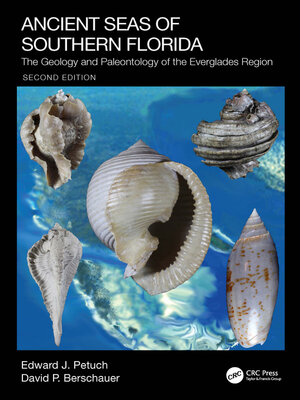 cover image of Ancient Seas of Southern Florida